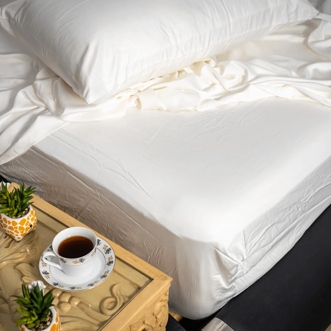 100% Eucalyptus Lyocell Bedsheet Set  I Double