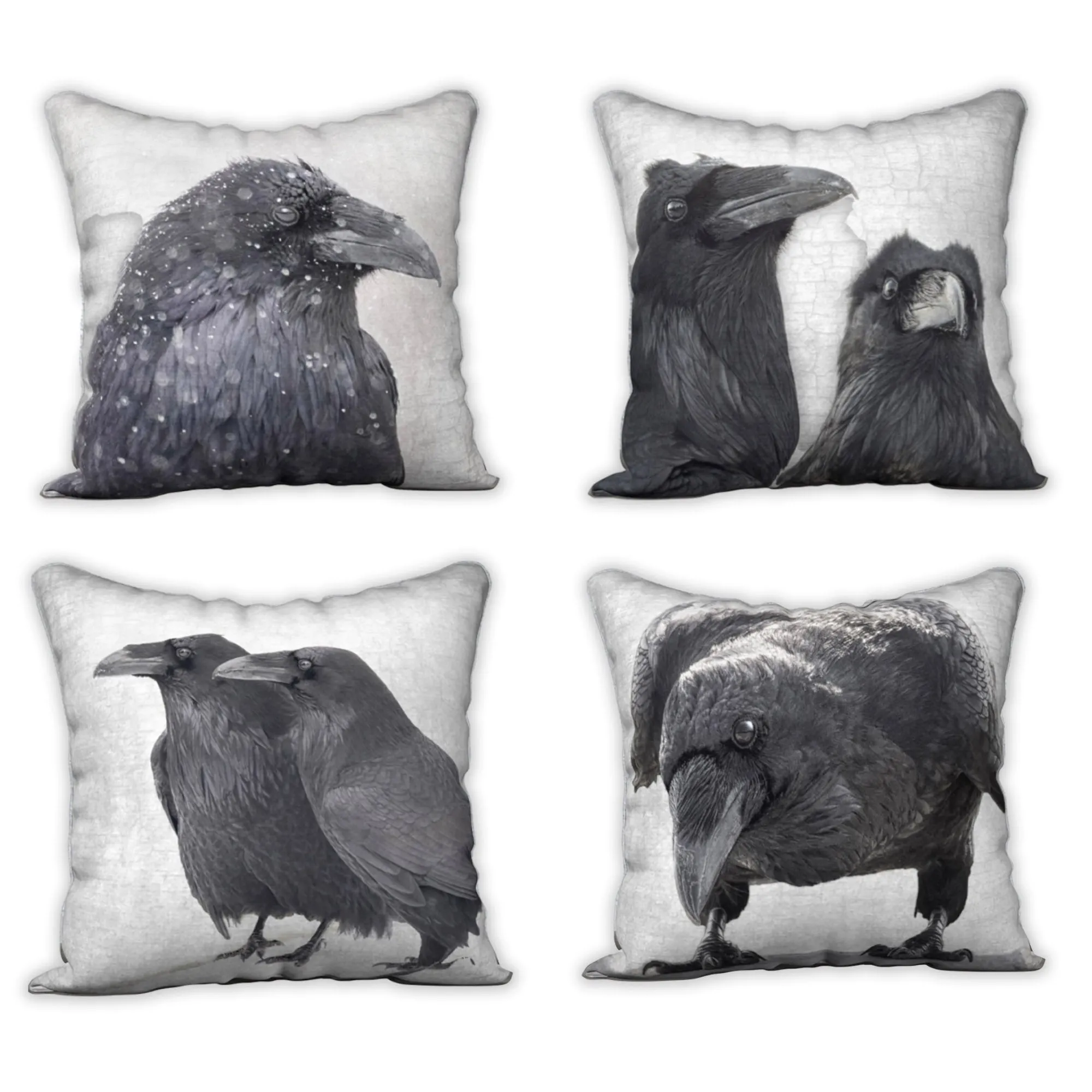 SCENES FROM A (RAVEN) MARRIAGE — Raven Cushion Cover — SALE