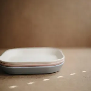 Square Dinnerware Plates [Set of 2]