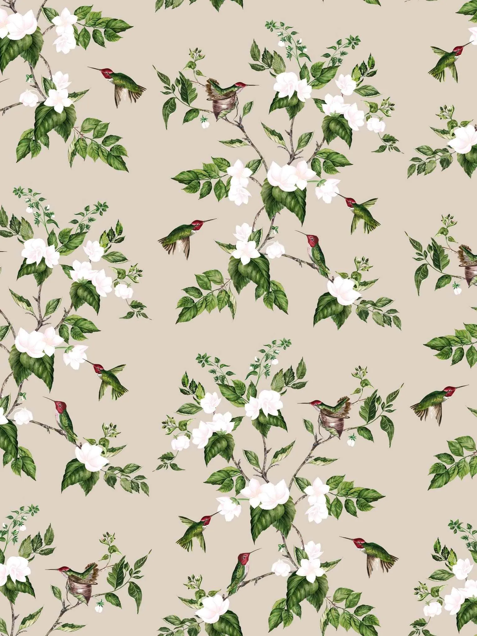 Tan Hummingbird Cork Backed Placemats (set of 4)